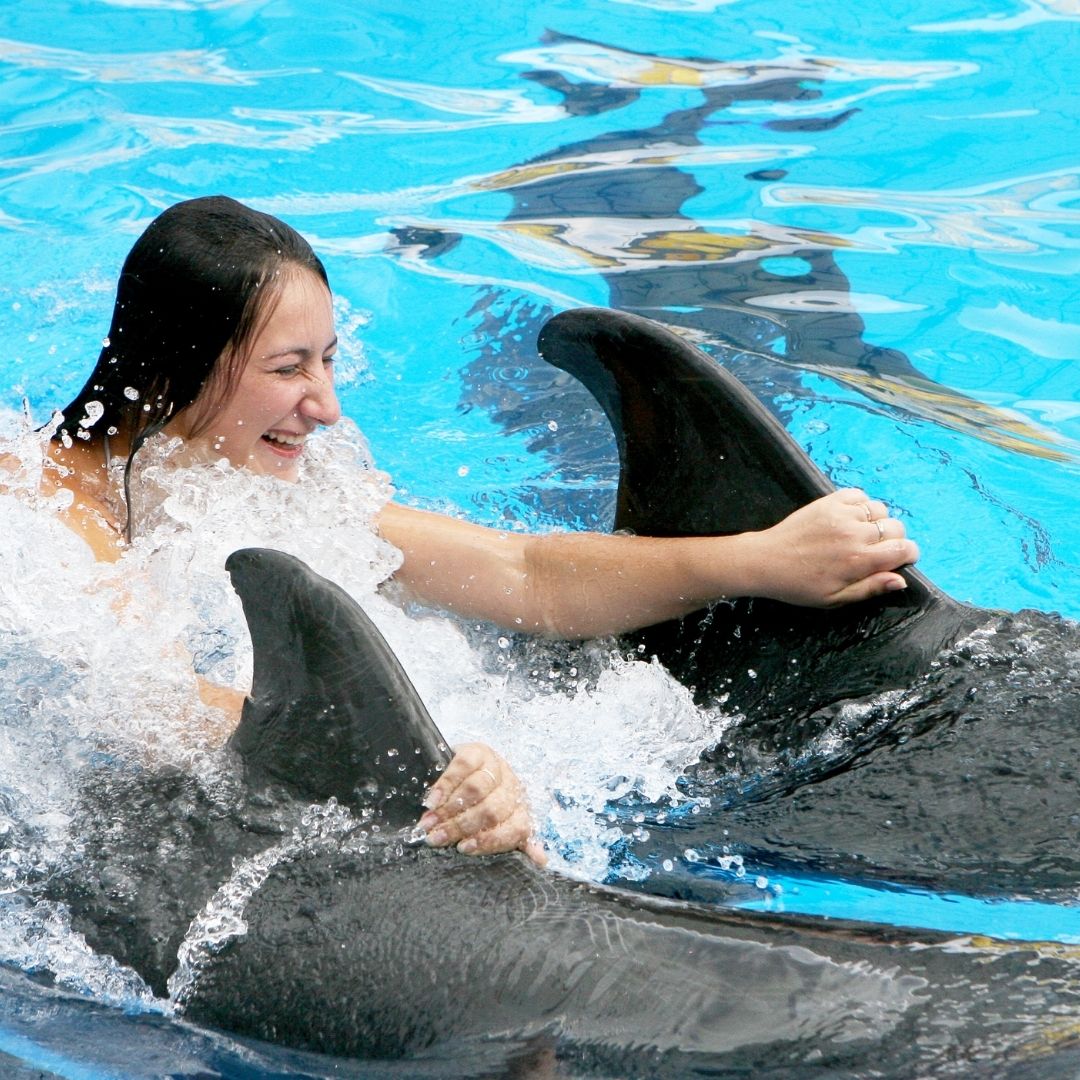 Schwimmen mit Delfinen in der Türkei